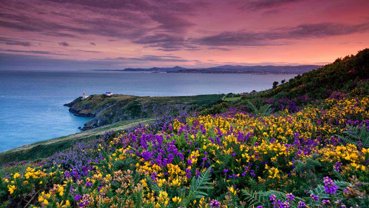 summers in Ireland